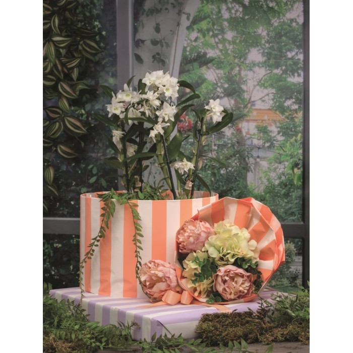 BOBINA PERLATA 1X25MT. LINE ROSA